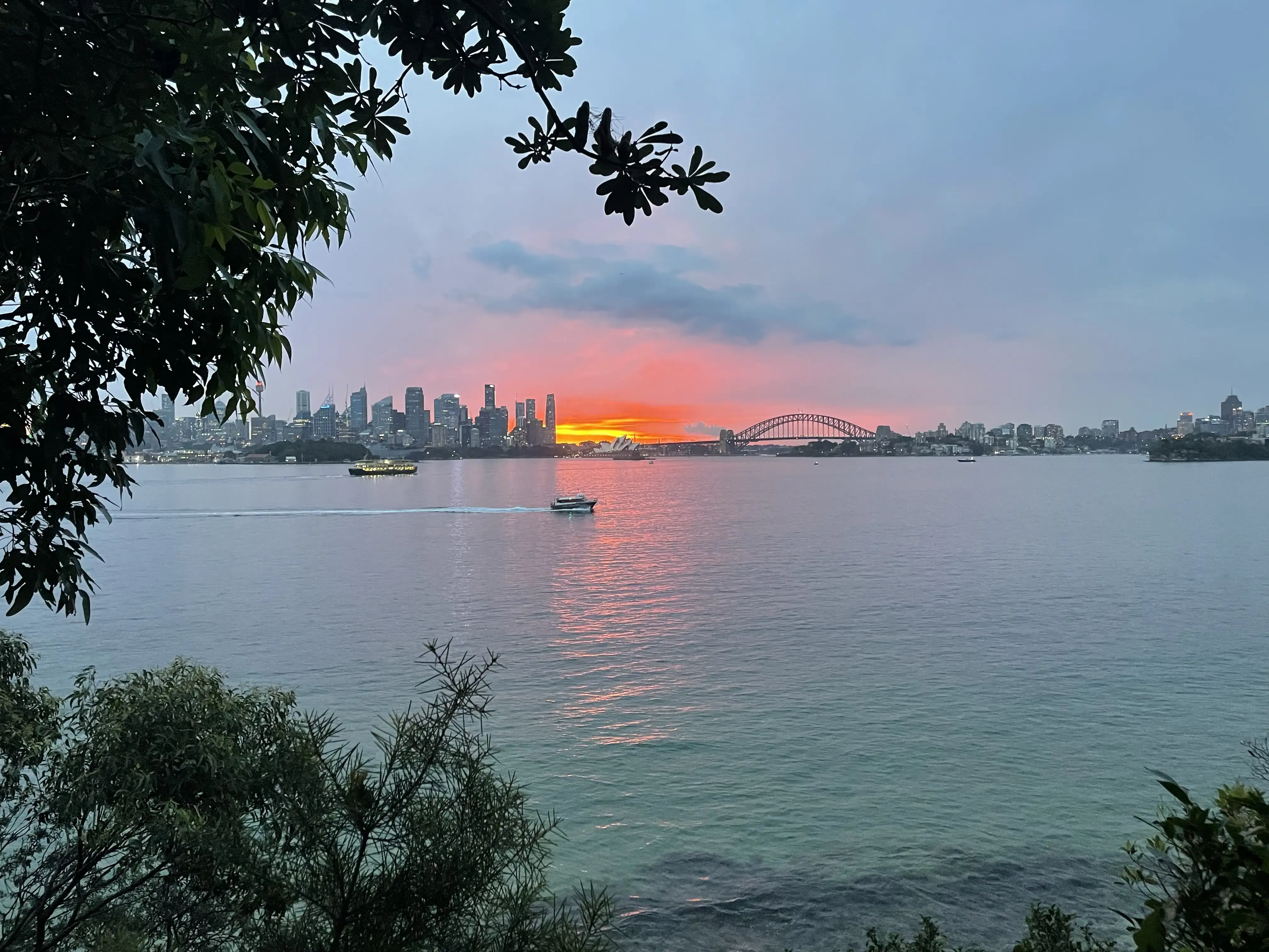 Port Jackson Bay at sunset in Sydney