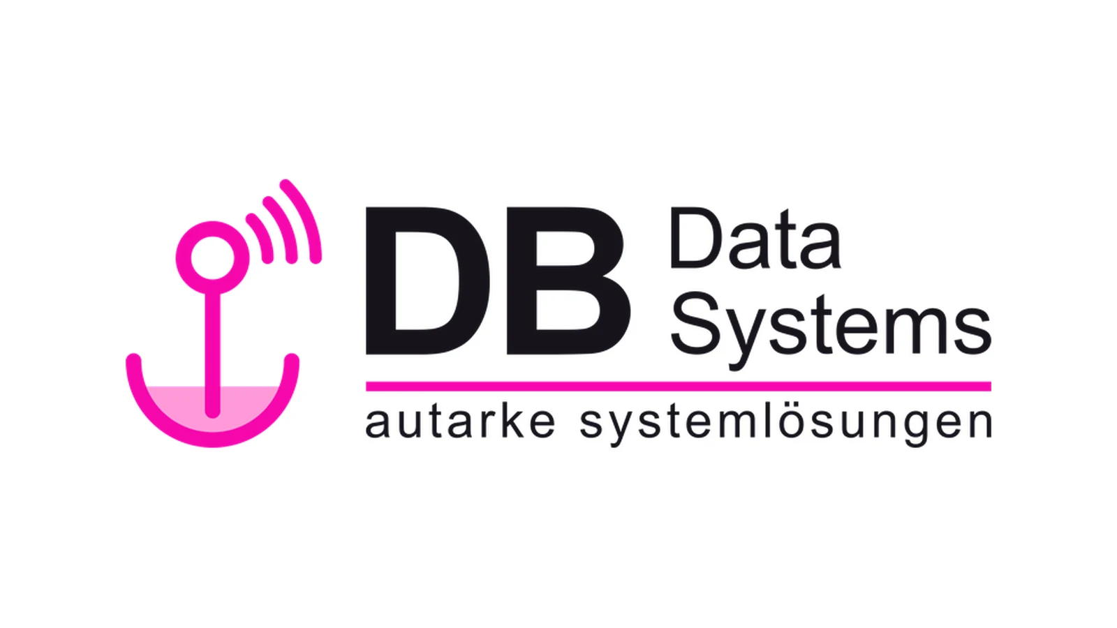 DB Data Systems AG logo on a white background