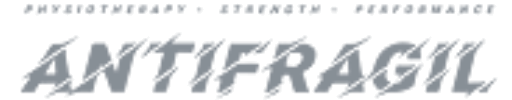 Antifragil logo for business and technology consulting